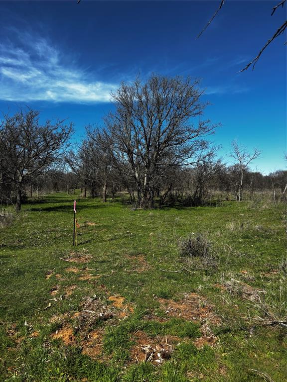 382 High Plains Court - Photo 1