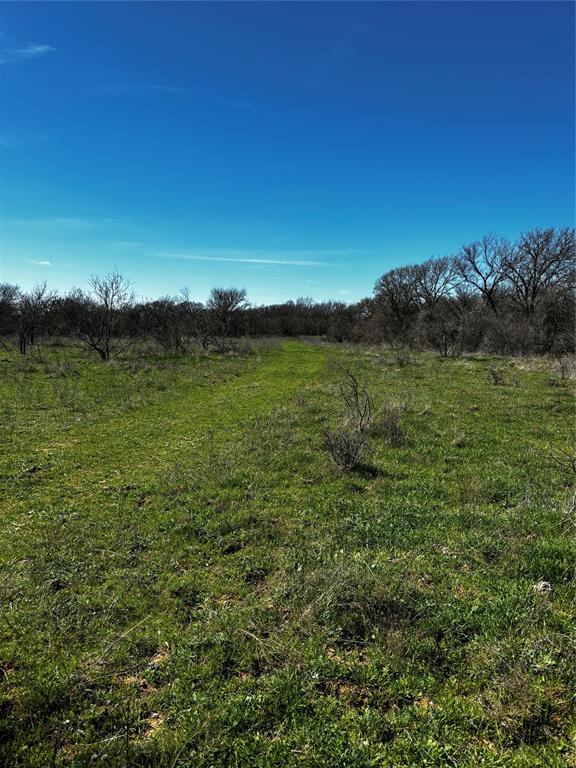 382 High Plains Court - Photo 10
