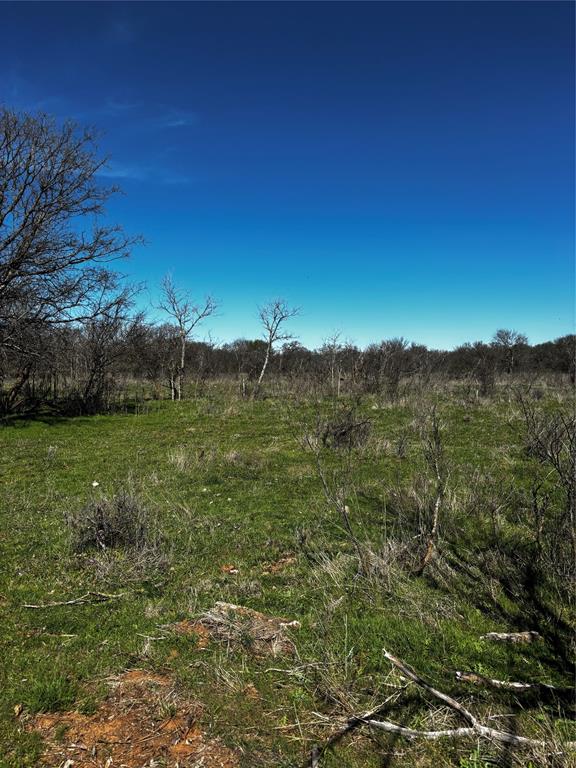 382 High Plains Court - Photo 3