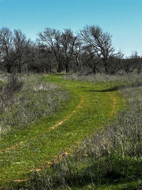 382 High Plains Court - Photo 4