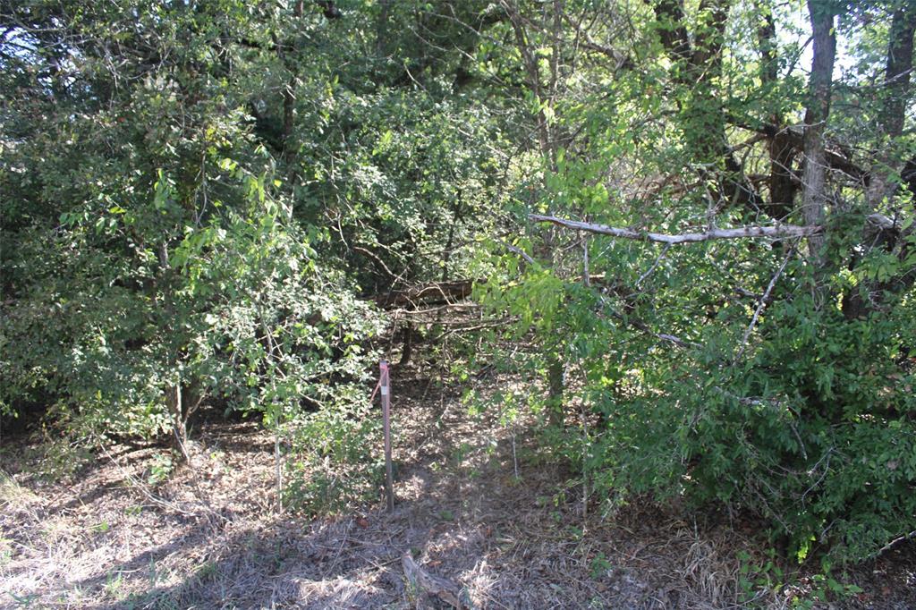 154 LCR 410 154 LCR 410 - Photo 12