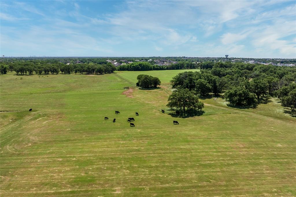 5200 Cross Timbers Road - Photo 5