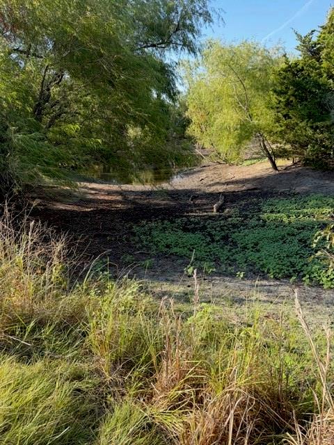 7720 County Road 1135 - Photo 12