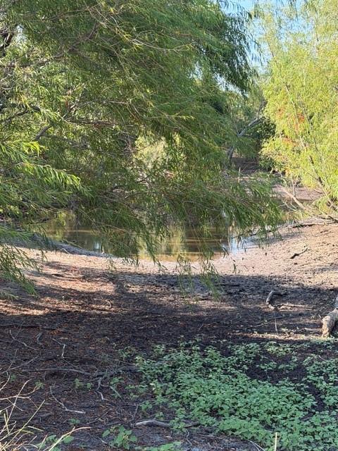 7720 County Road 1135 - Photo 13