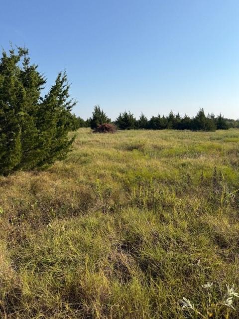 7720 County Road 1135 - Photo 15