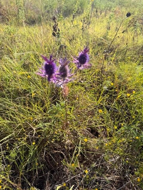 7720 County Road 1135 - Photo 16
