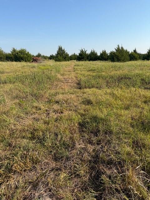 7720 County Road 1135 - Photo 19