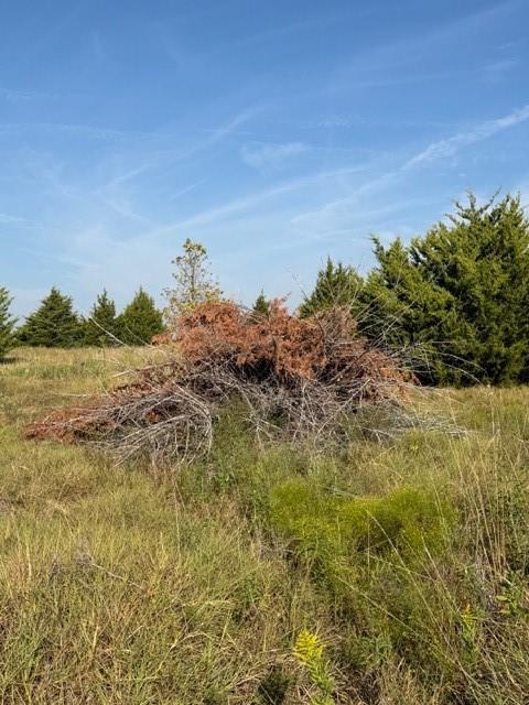 7720 County Road 1135 - Photo 20