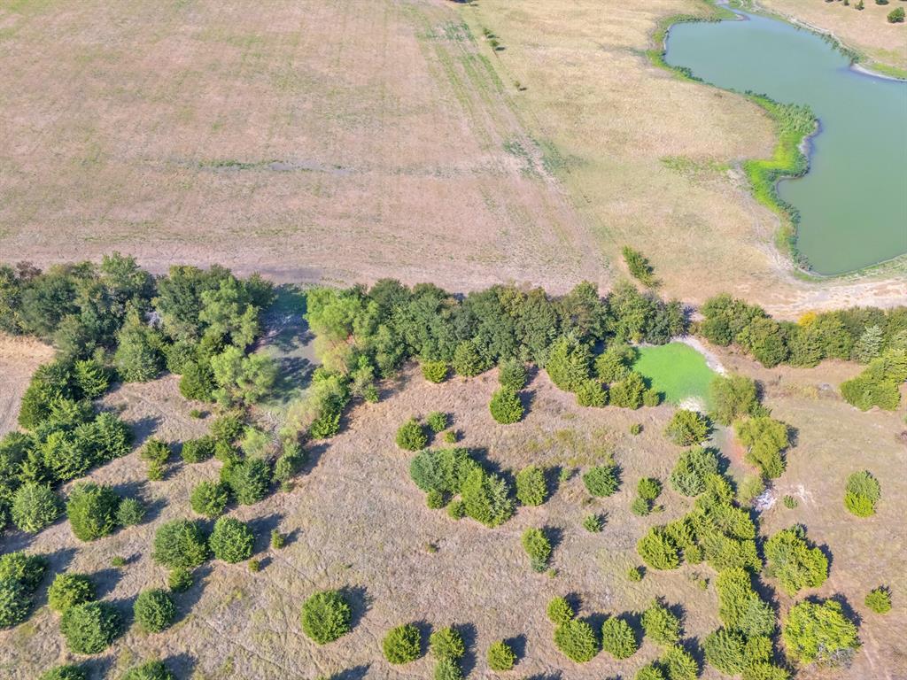 7720 County Road 1135 - Photo 3