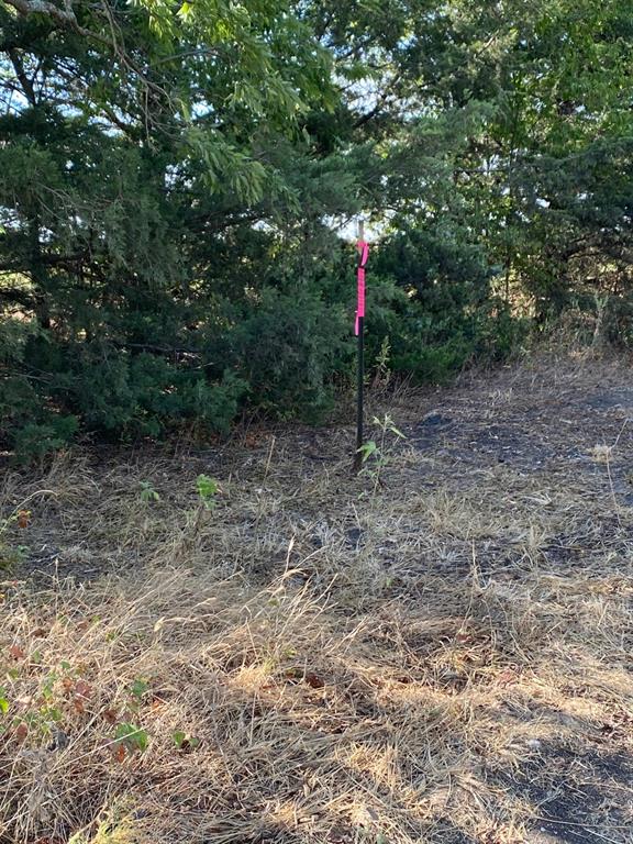 7720 County Road 1135 - Photo 9