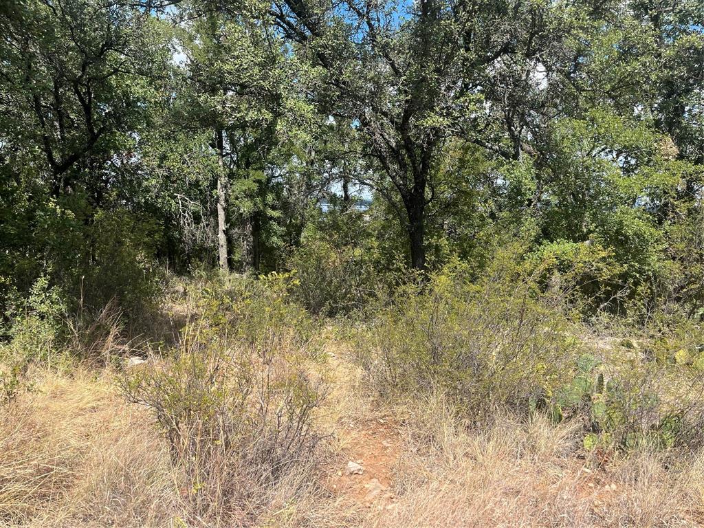 TBD Fm 2632 N - Photo 2