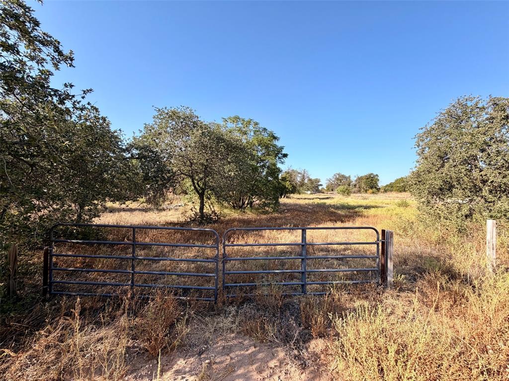 10007 County Road 379 - Photo 1