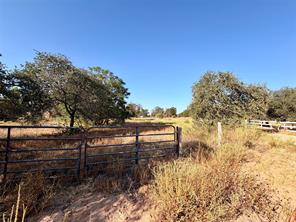10007 County Road 379 - Photo 2