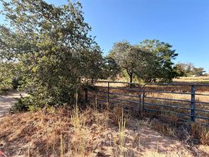 10007 County Road 379 - Photo 3