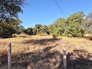 10007 County Road 379 - Photo 4