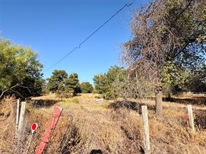 10007 County Road 379 - Photo 5