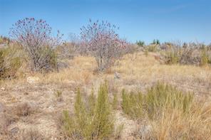 TBD LOT #45 Rawhide Ridge - Photo 13
