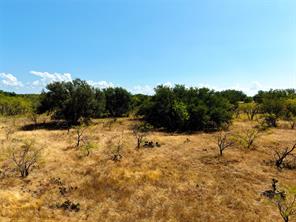 TBD County Road 363 - Photo 4