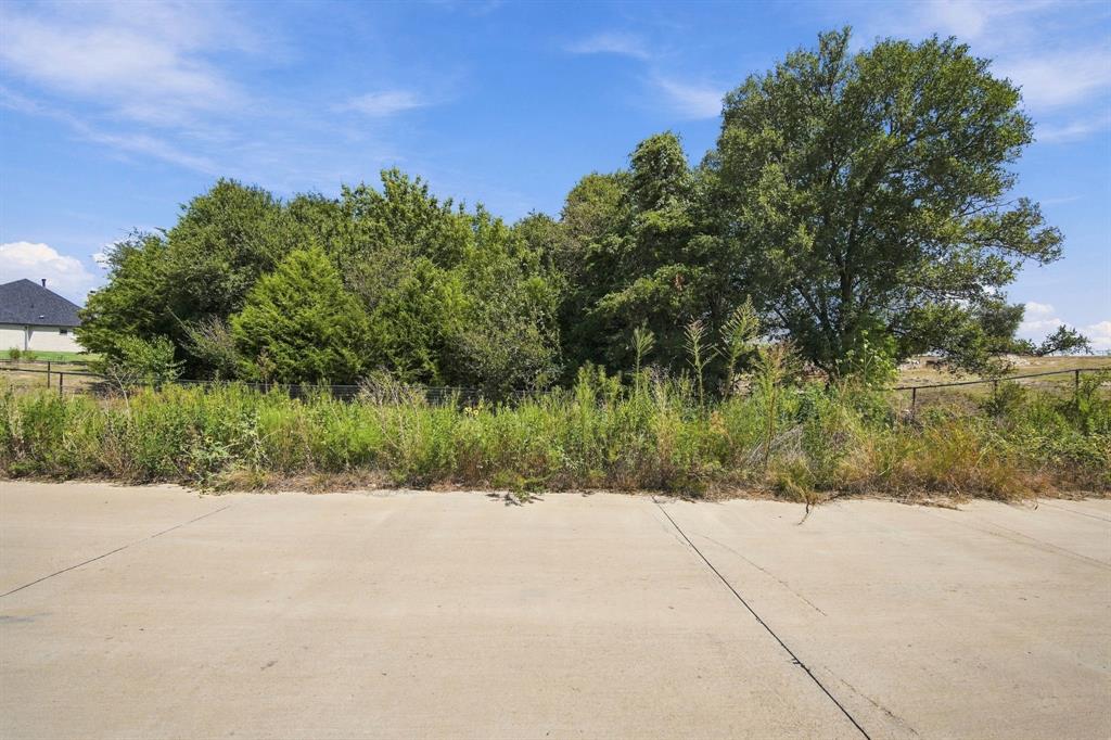 TBD Lot 24 Val Verde Lane - Photo 4
