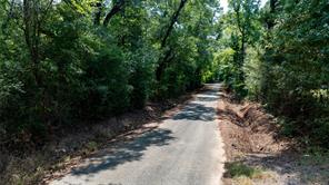 TBD Dancinger Road - Photo 3