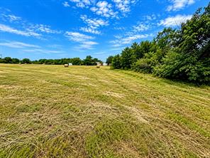 1438 Hurst Road - Photo 11
