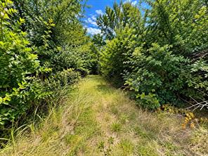 1438 Hurst Road - Photo 13