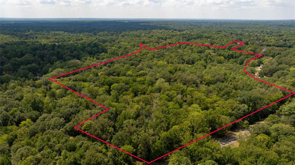 FM 1845 Pine Tree Road - Photo 1