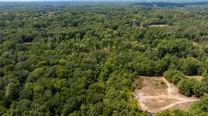 FM 1845 Pine Tree Road - Photo 2