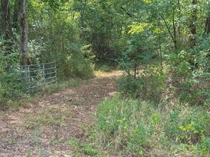 FM 1845 Pine Tree Road - Photo 3