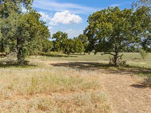 TBD Lot 41 Grassland Lane - Photo 10