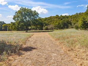 TBD Lot 41 Grassland Lane - Photo 11
