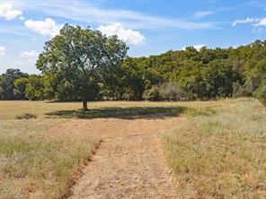 TBD Lot 41 Grassland Lane - Photo 12