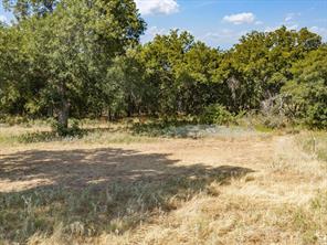TBD Lot 41 Grassland Lane - Photo 13