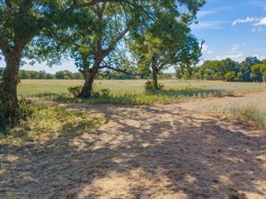 TBD Lot 41 Grassland Lane - Photo 14