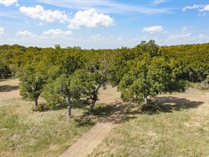 TBD Lot 41 Grassland Lane - Photo 22