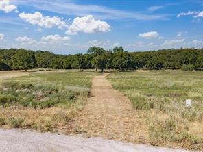TBD Lot 41 Grassland Lane - Photo 6