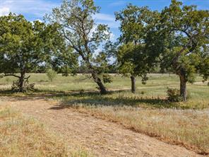 TBD Lot 41 Grassland Lane - Photo 9