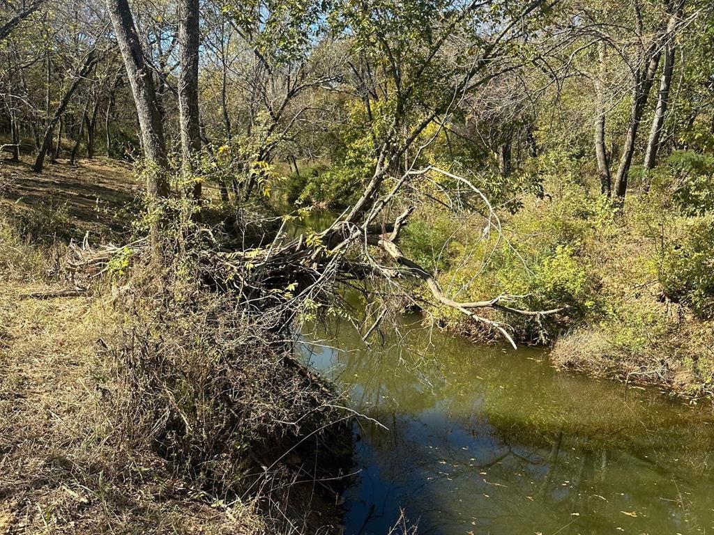 351 Carlin Road - Photo 4