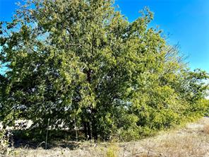 Lot 10 COUNTY ROAD 590 - Photo 2