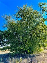 Lot 10 COUNTY ROAD 590 - Photo 4