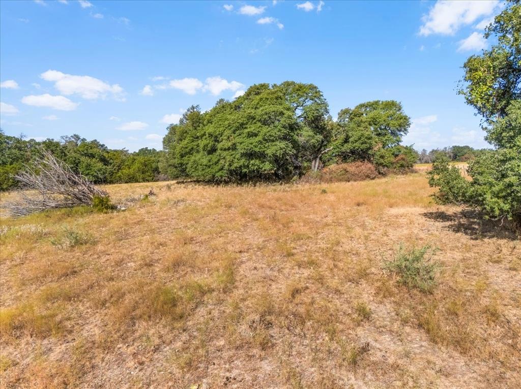1101 Hodges Road - Photo 15