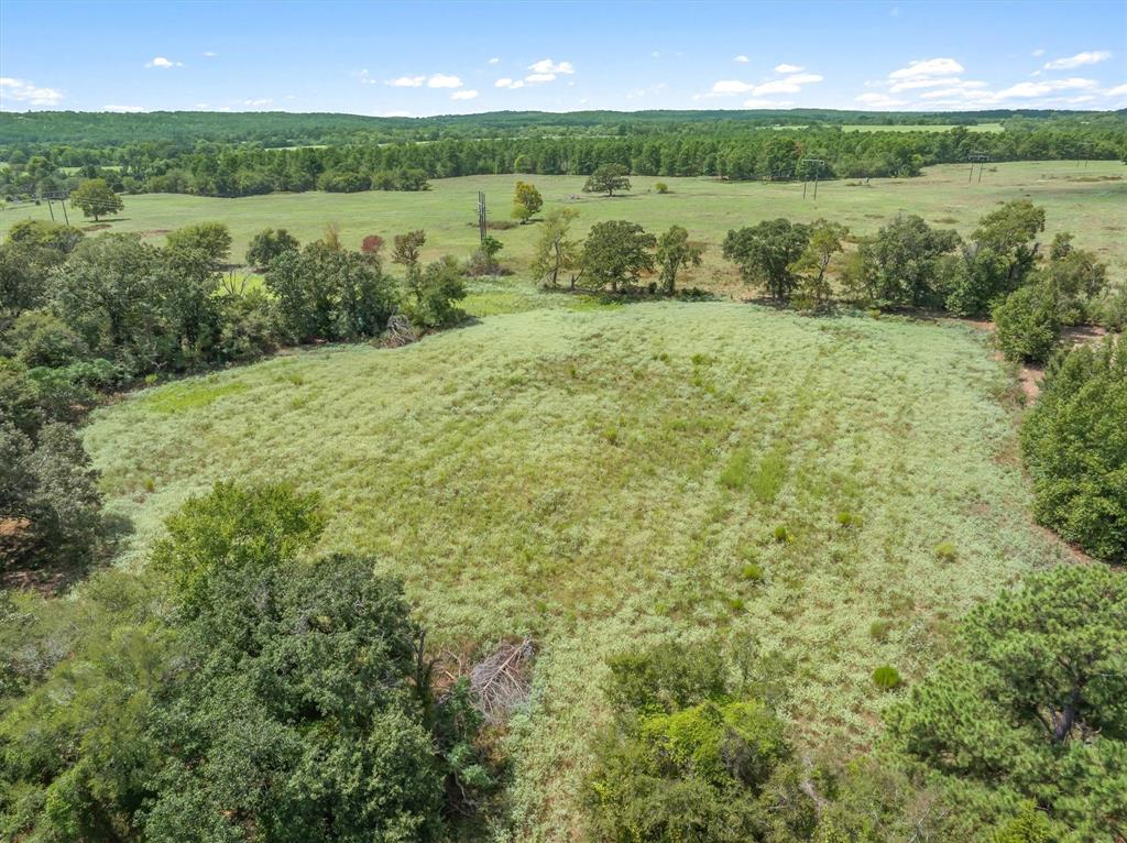 24619 Private Road 8102 - Photo 10
