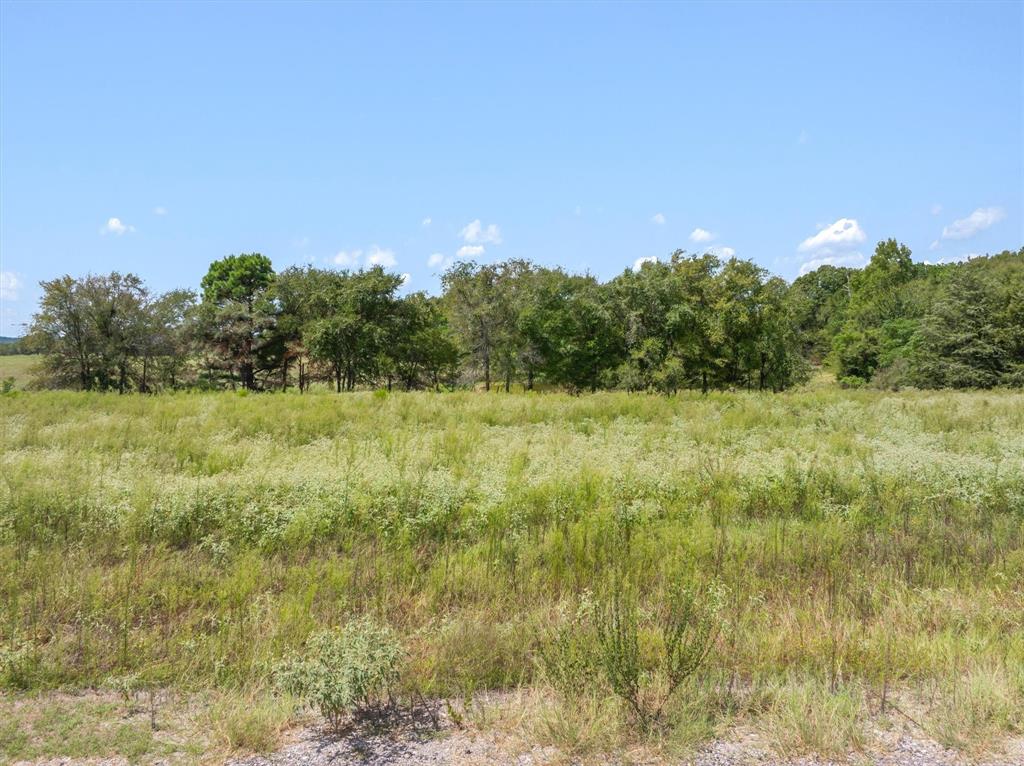 24619 Private Road 8102 - Photo 4