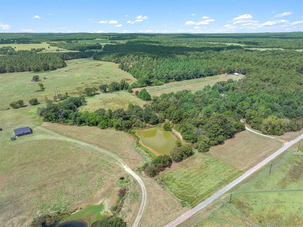 24619 Private Road 8102 - Photo 6