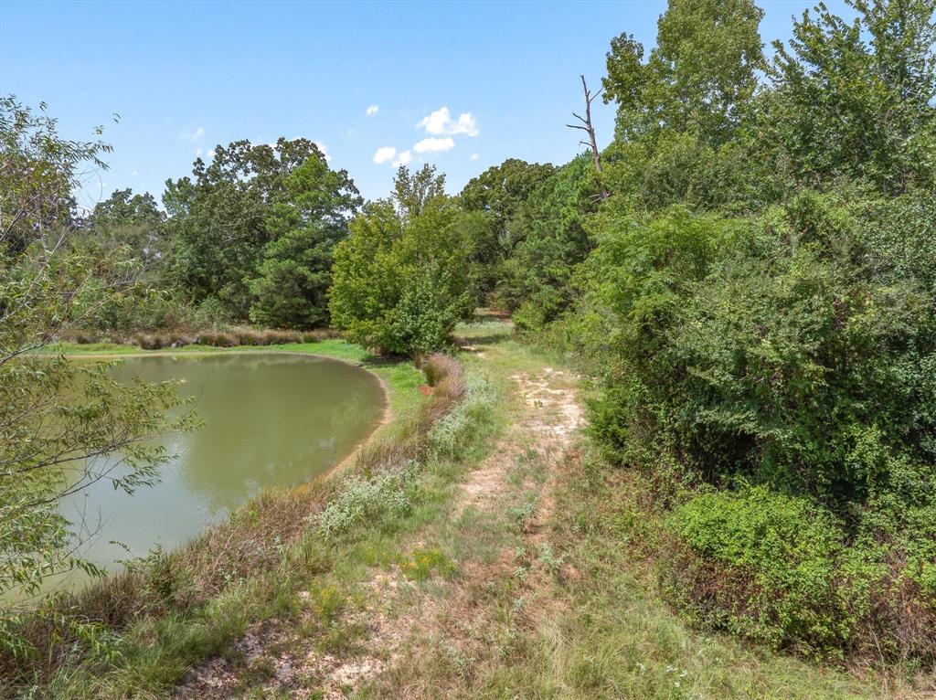 24619 Private Road 8102 - Photo 8