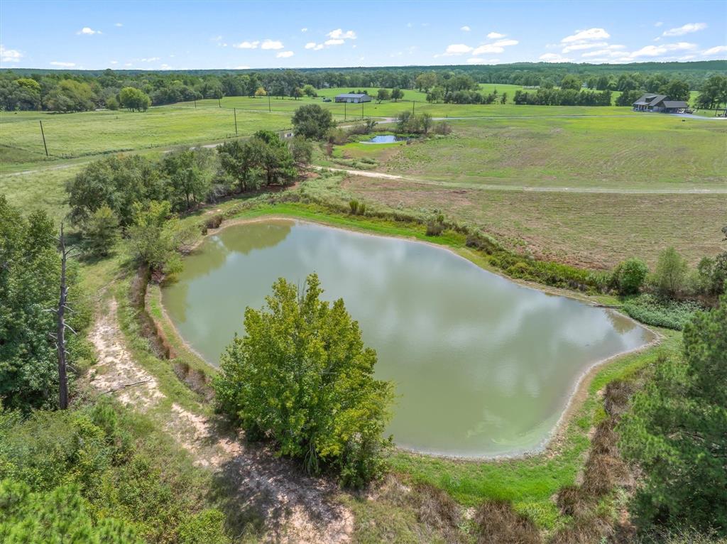 24619 Private Road 8102 - Photo 9