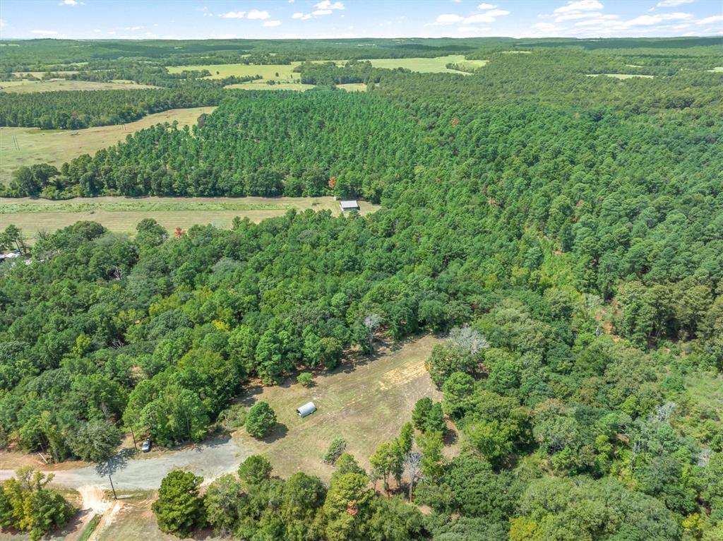 24670 Private Road 8102 - Photo 12