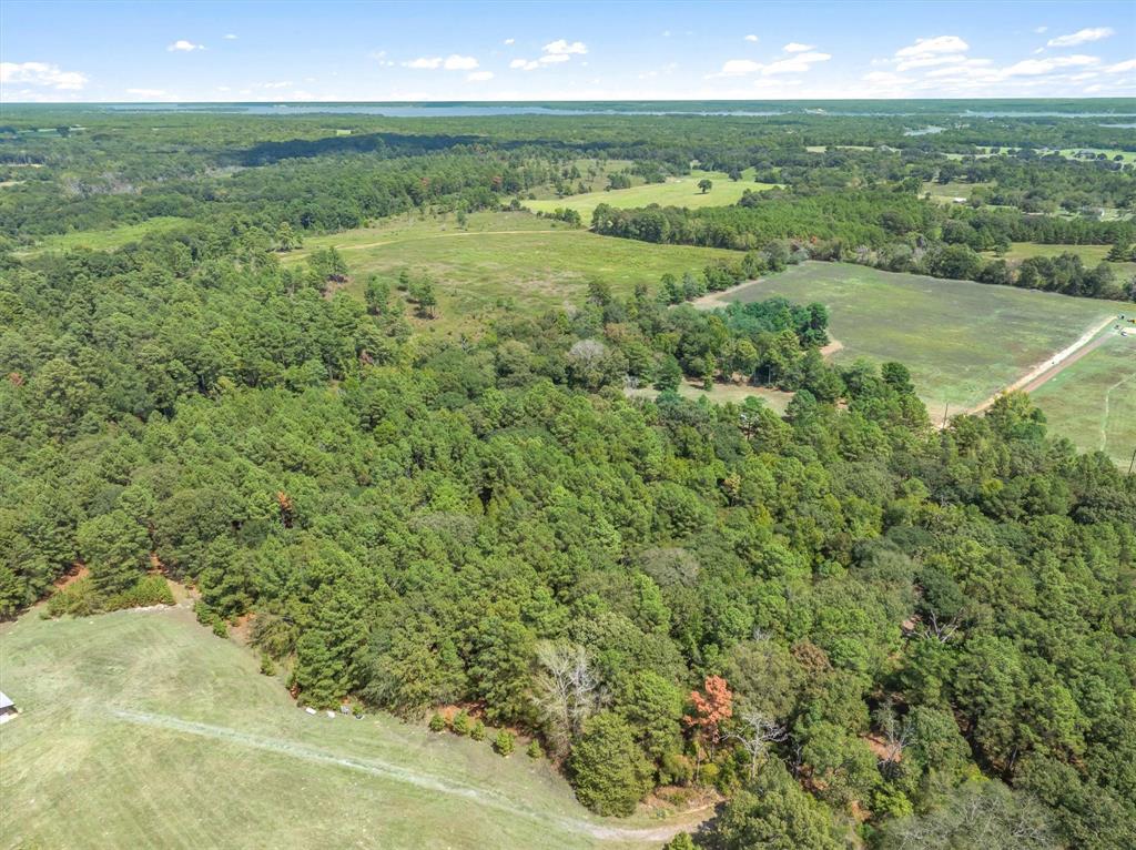 24670 Private Road 8102 - Photo 17
