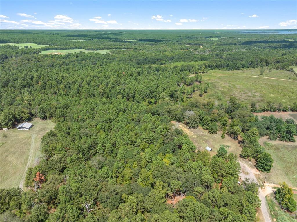 24670 Private Road 8102 - Photo 18