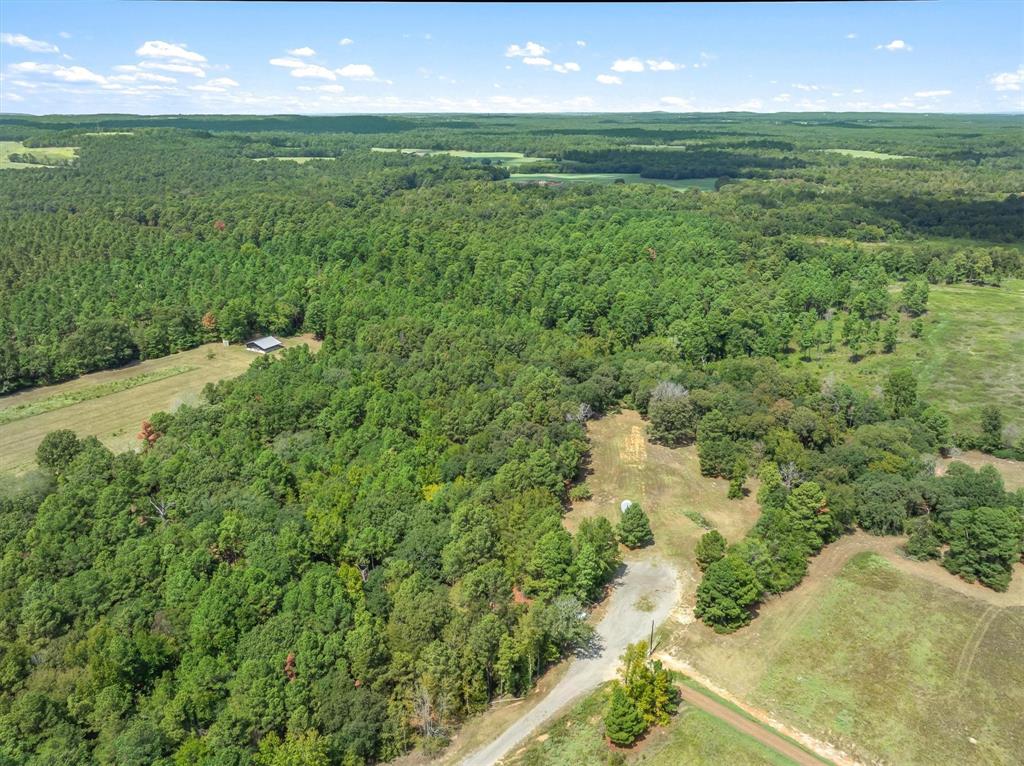 24670 Private Road 8102 - Photo 3